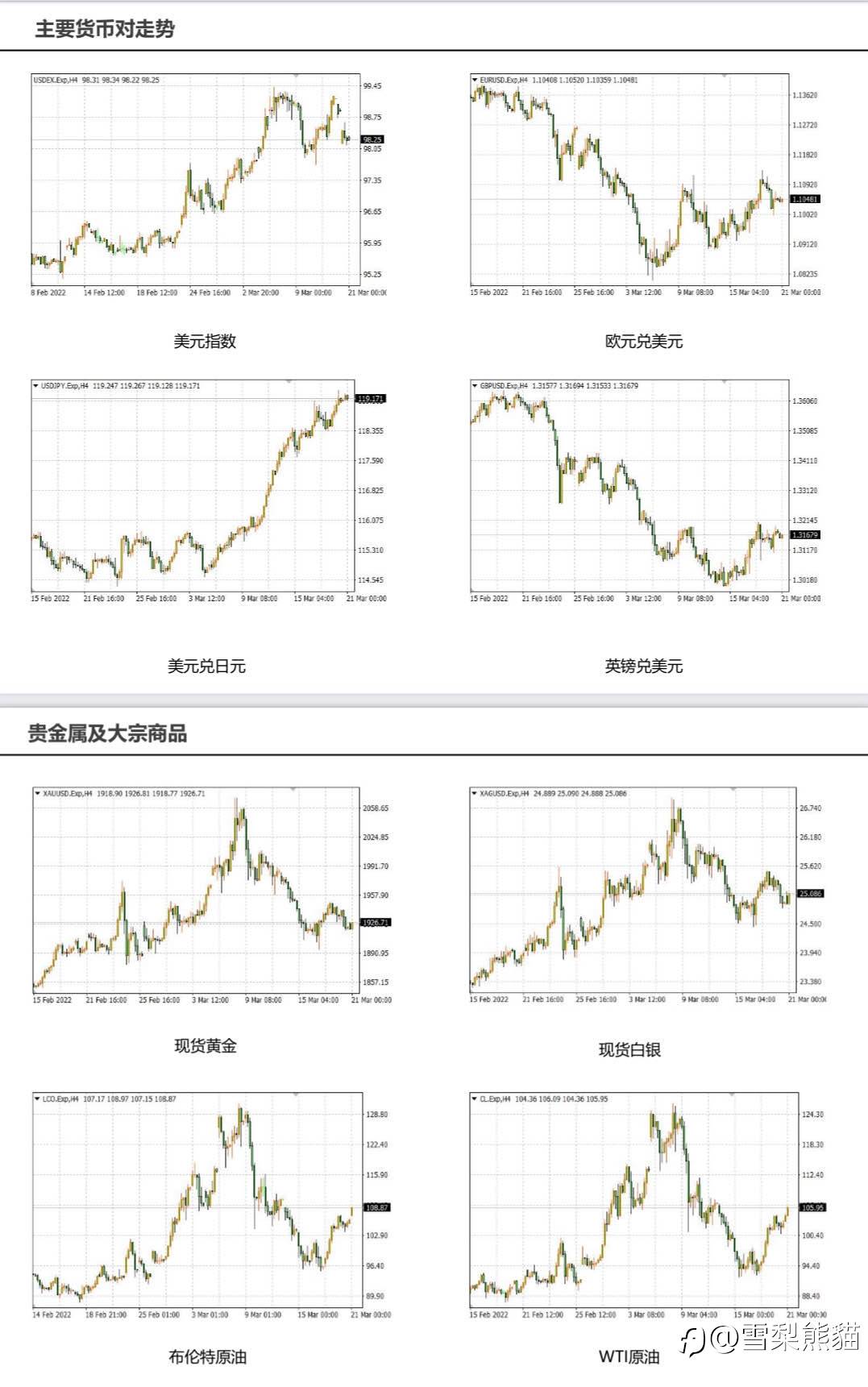 21/3拓利日报