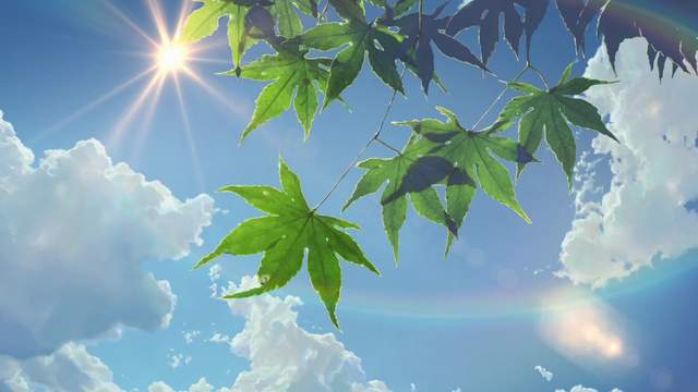 今日汇市271：市场永不休息