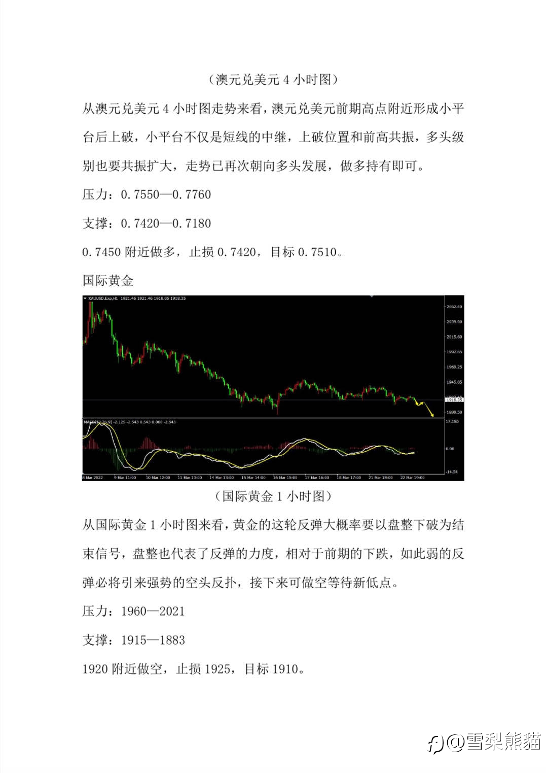 23/3拓利汇评