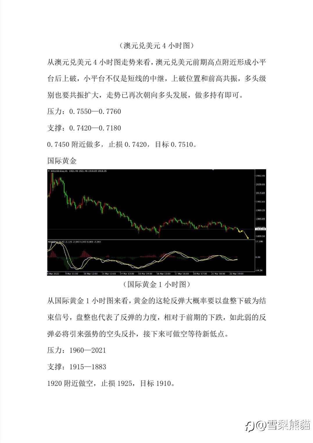 23/3拓利汇评