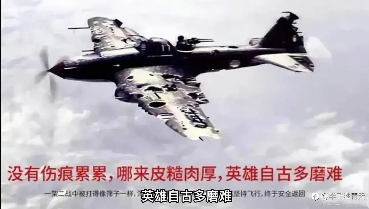 feed-image-1