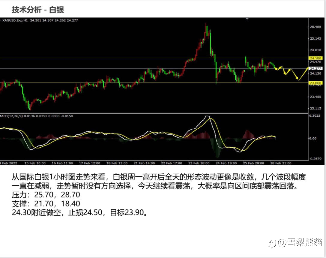 1/3拓利日报