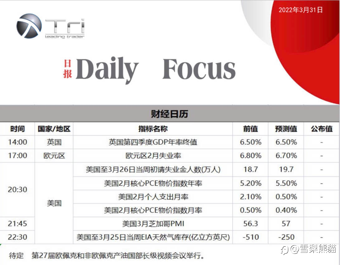 31/3拓利日报