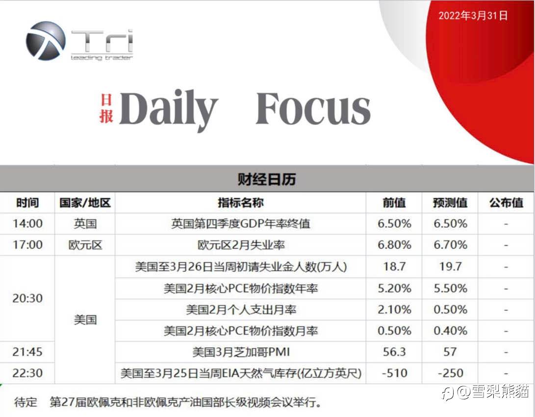 31/3拓利日报