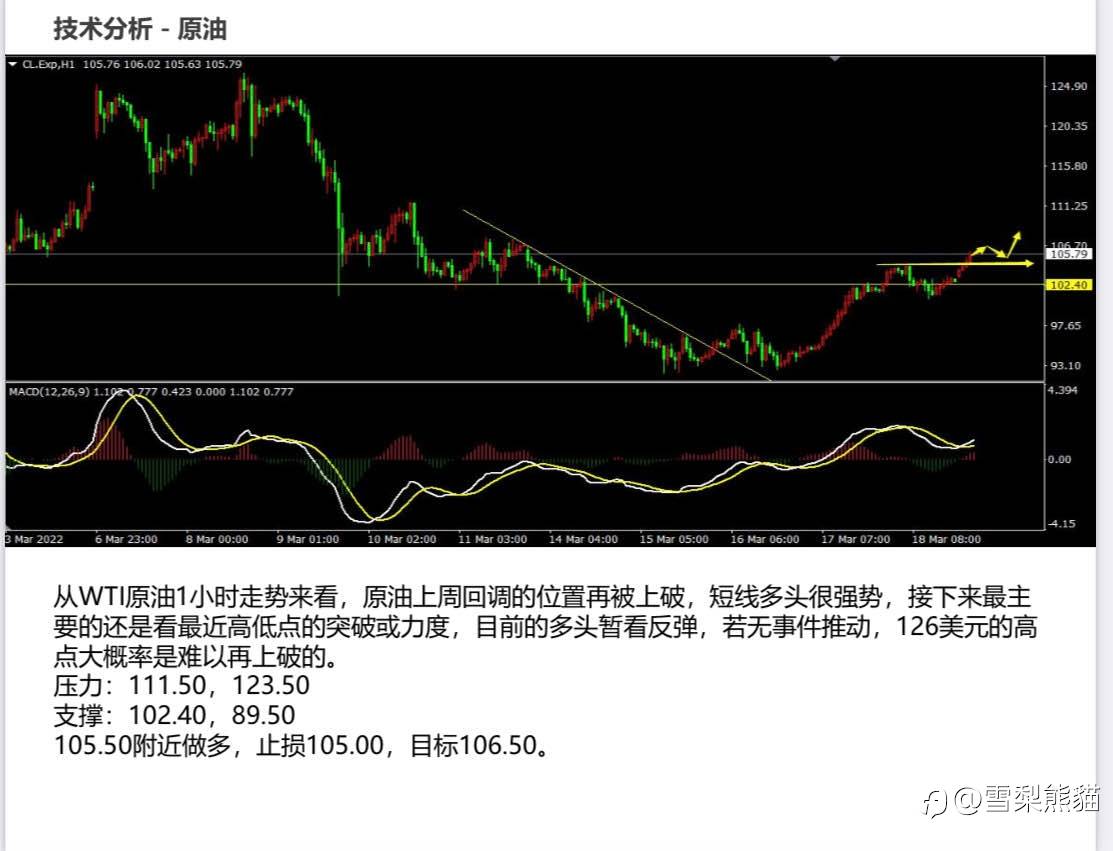 21/3拓利日报