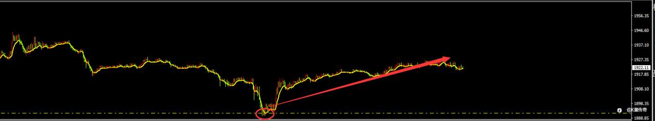 feed-image-2
