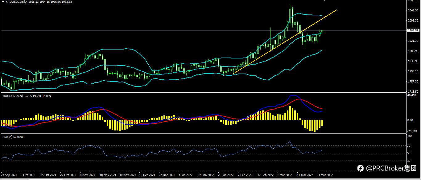 PRCBroker：20220325 今日汇评