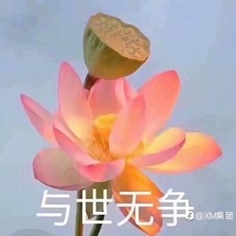 三位精明交易者的感悟:简单的事情重复做