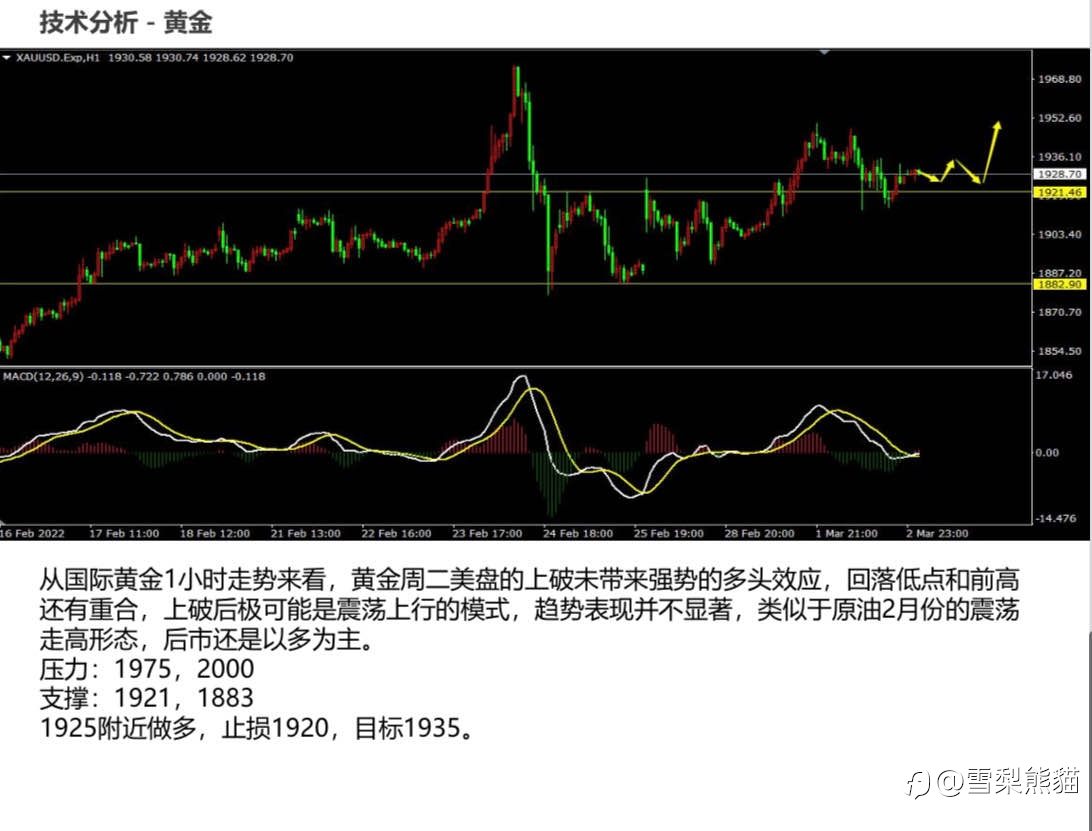 3/3拓利日报