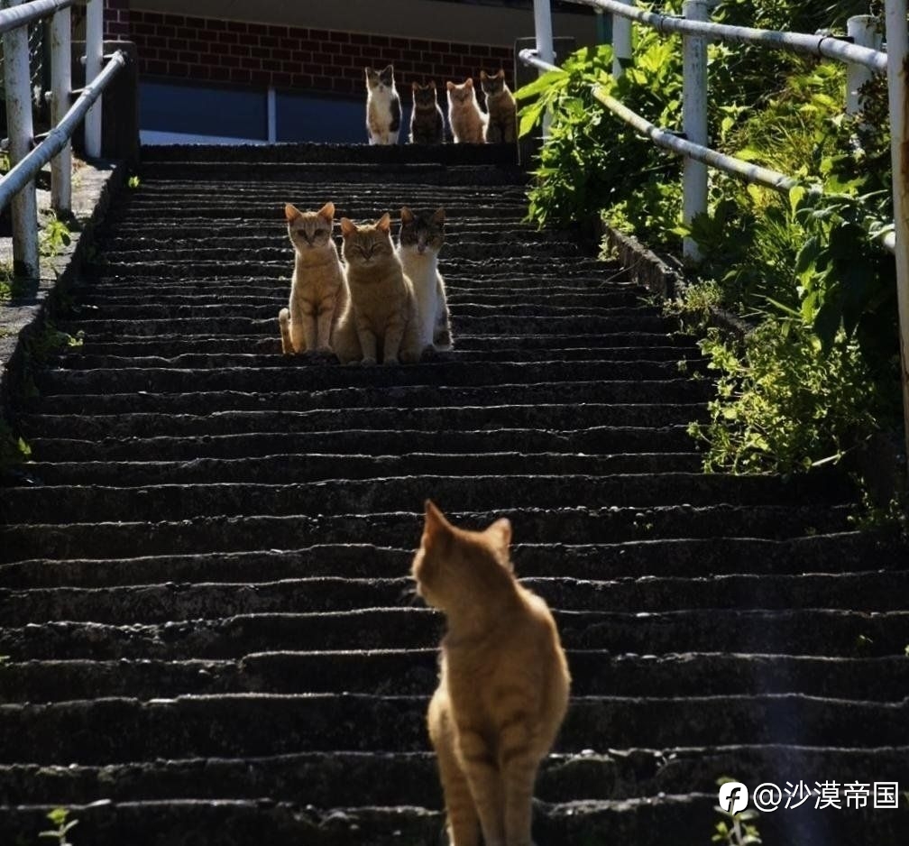 十年前卖3元,现在依旧卖3元,十年来可乐的物价都没上涨吗?