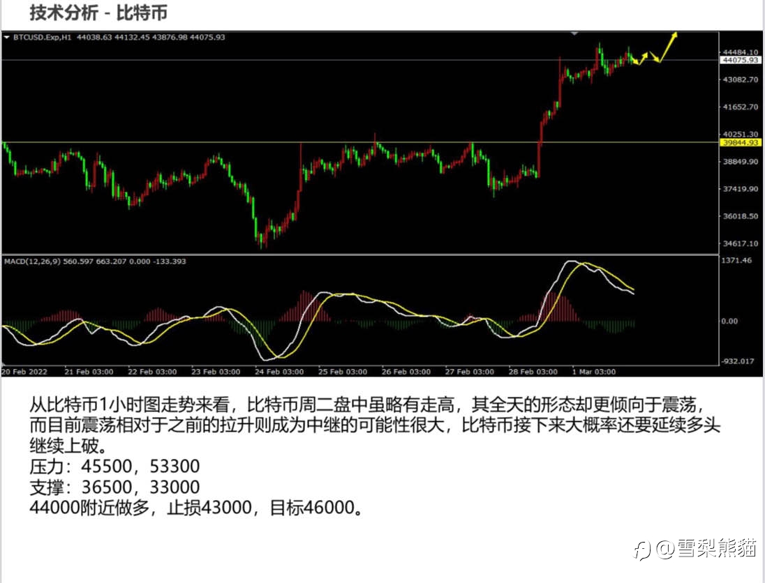 2/3拓利日报