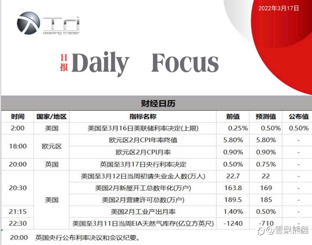17/3拓利日报