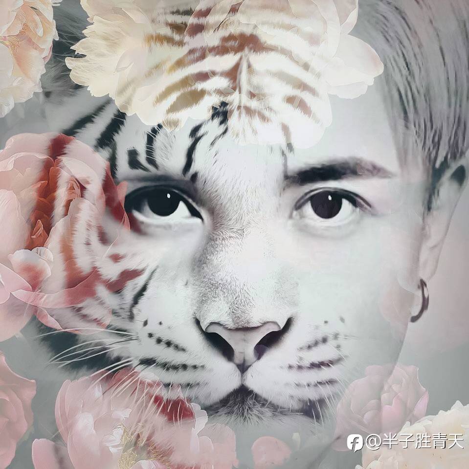 市场感觉是正确的，就不要哪么快套利离场