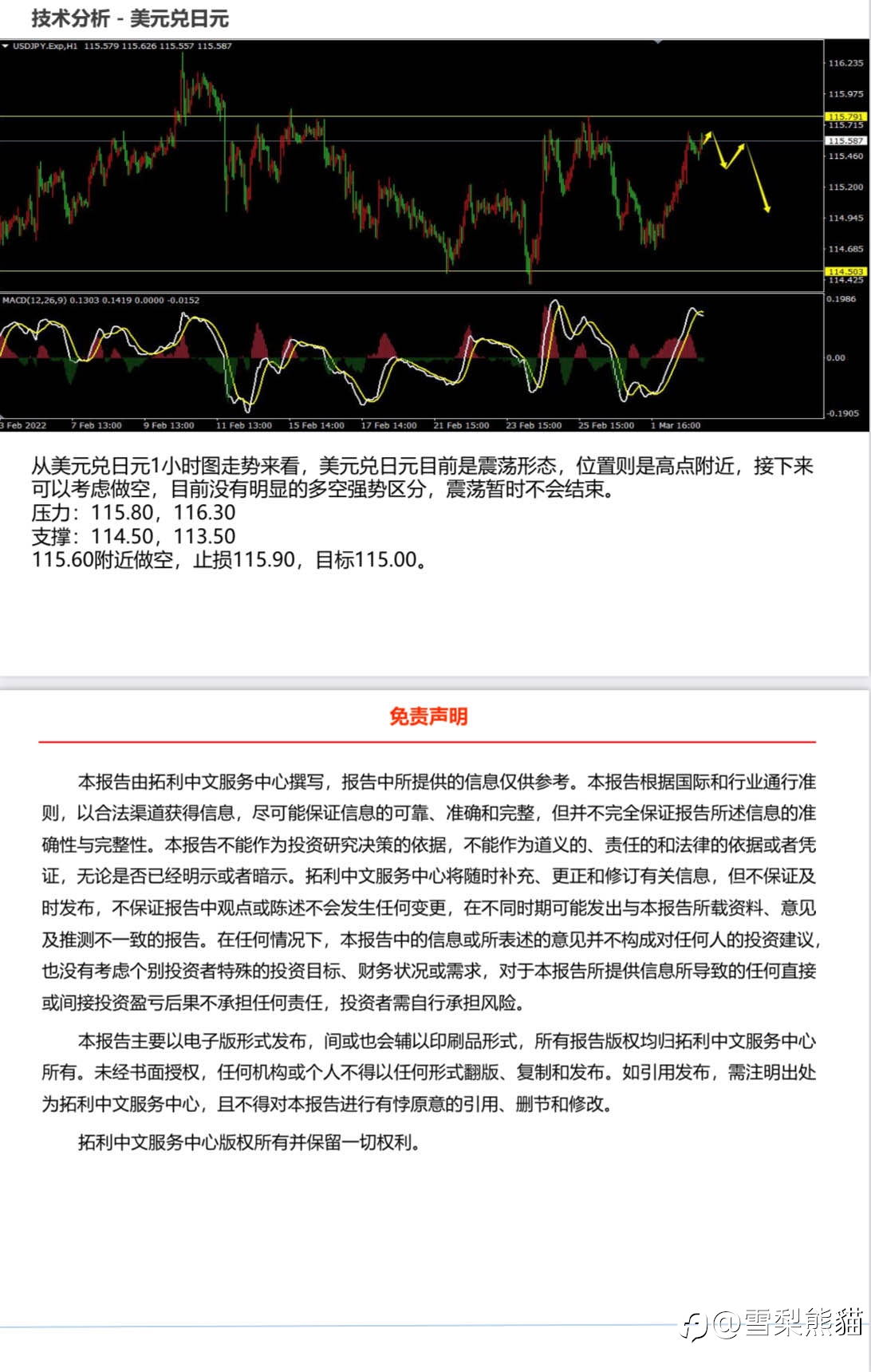 3/3拓利日报