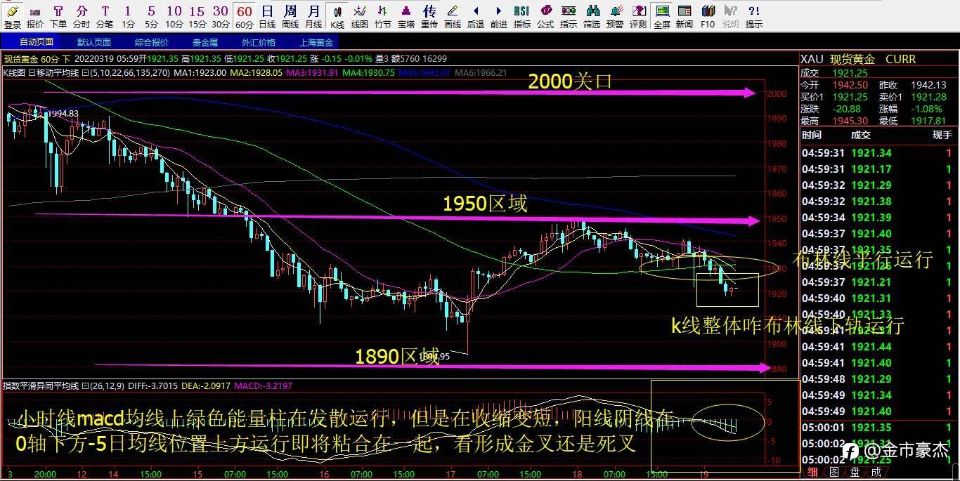 3.21号现货黄金行情解析以及操作策略布局！