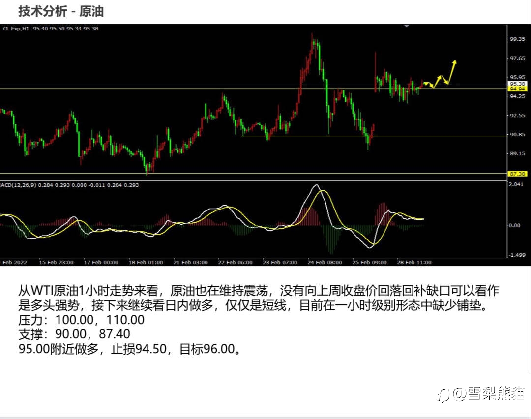 1/3拓利日报