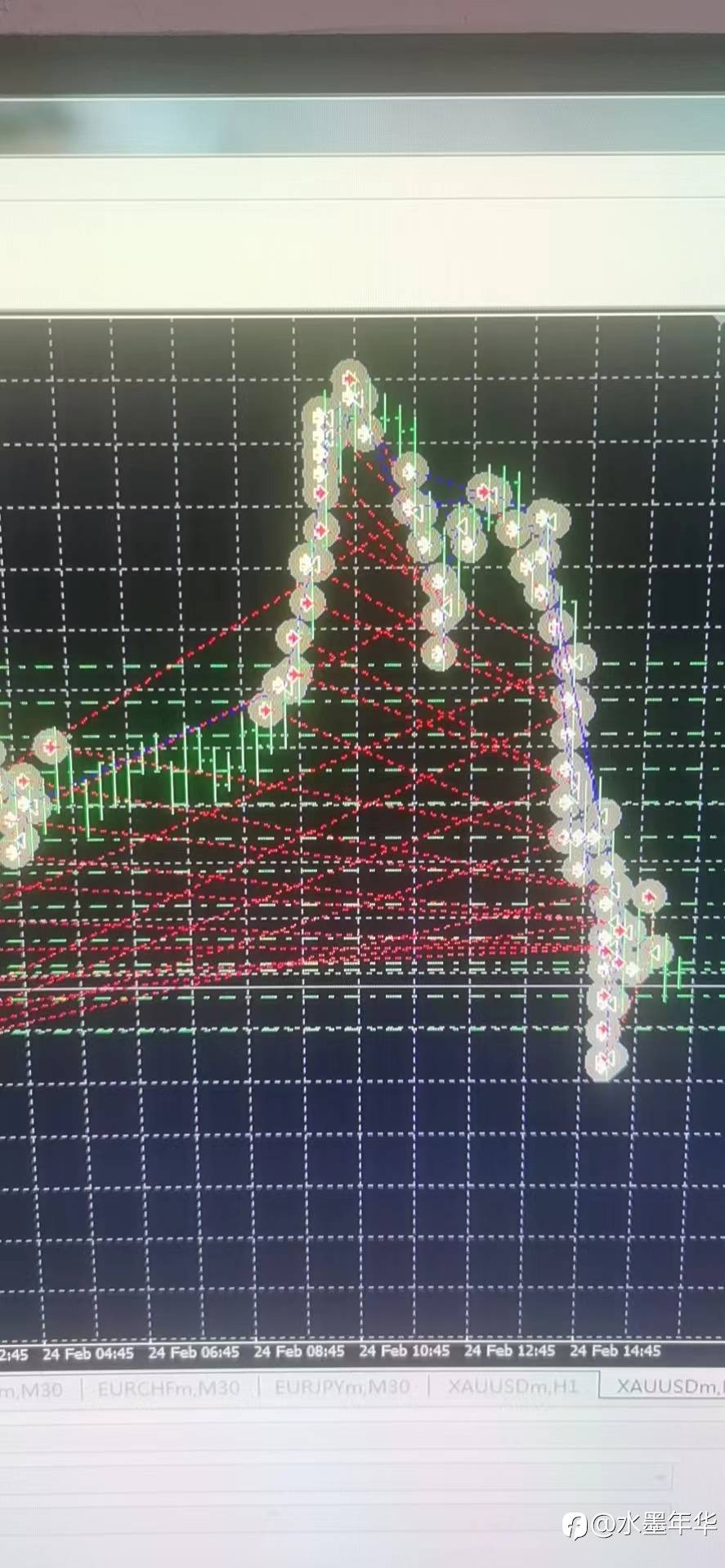 feed-image-2