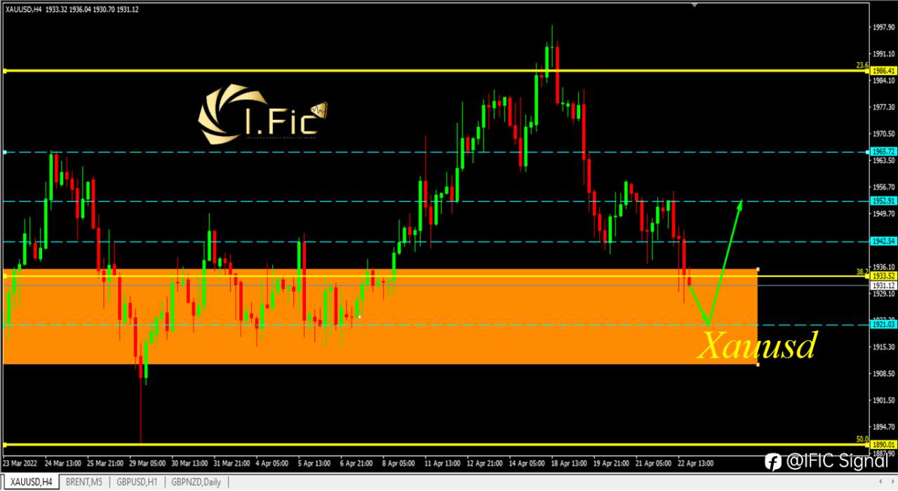 feed-image-2