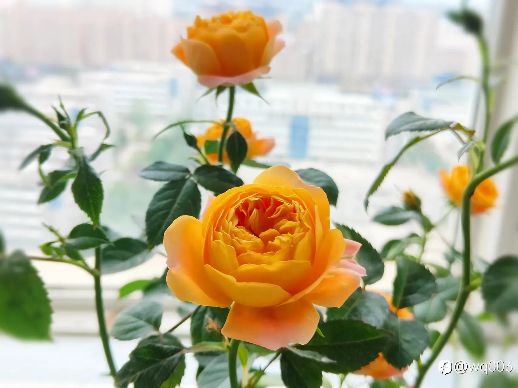 做交易，真的需要天赋吗！