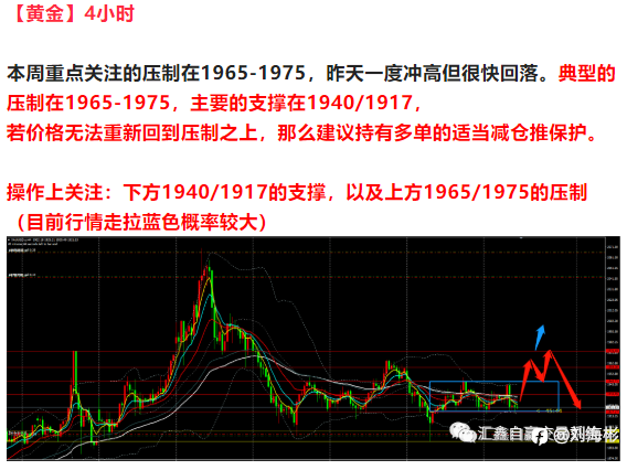 今日个品种走势图!