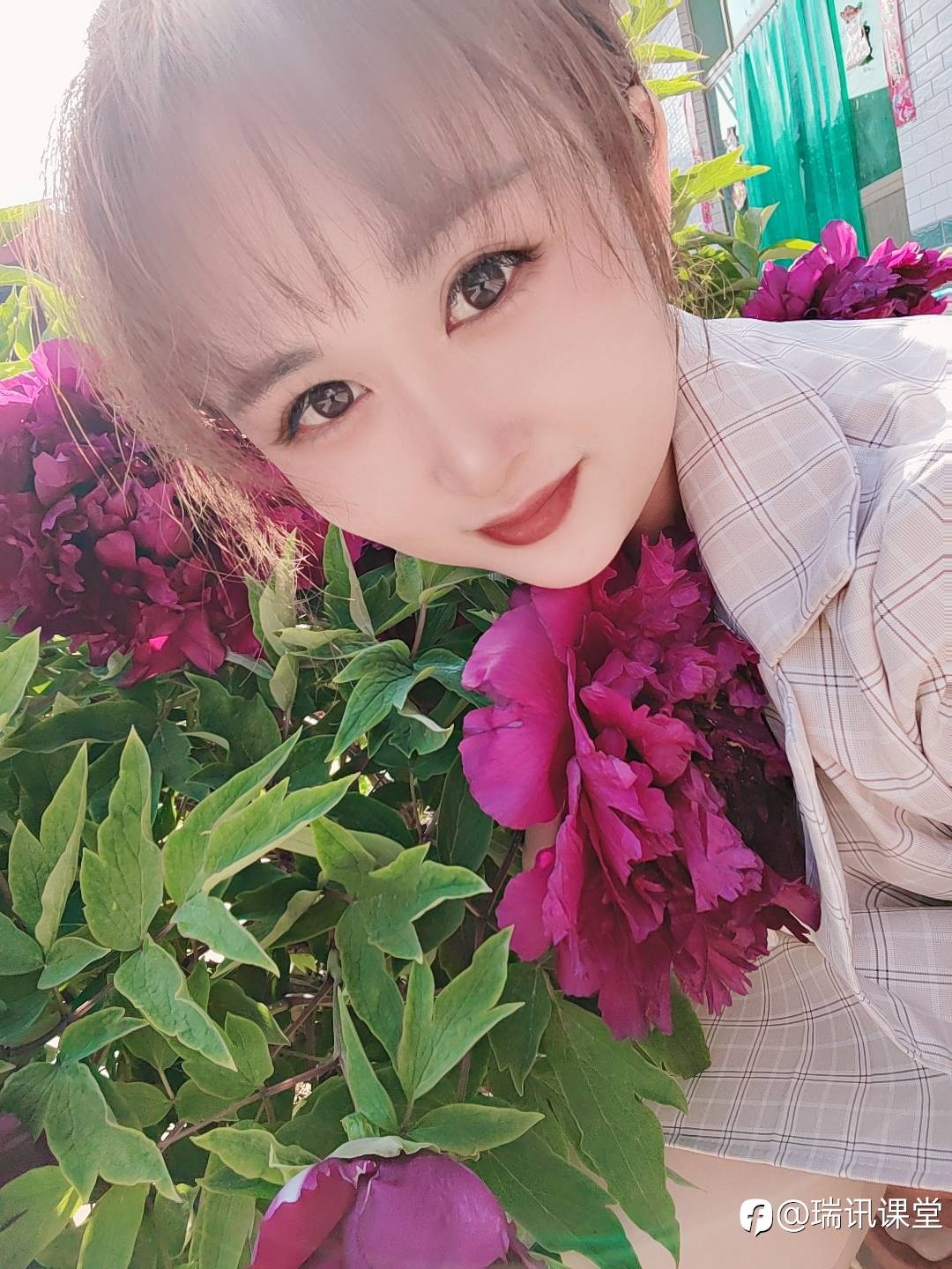 feed image