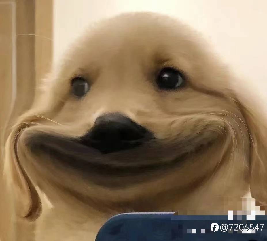 feed image