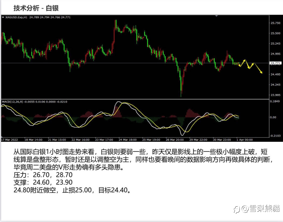 1/4拓利日报