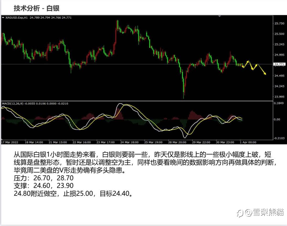 1/4拓利日报