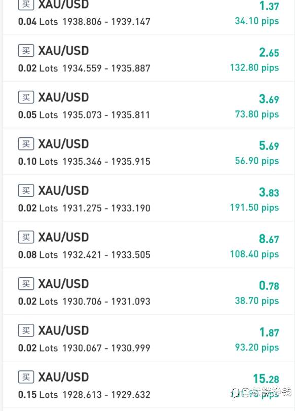 五爪金龙的爆仓之路