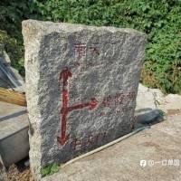 德普大叔反向跟三毛的单?三毛为嘛不自己实践下!