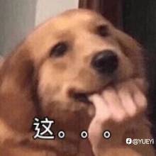 feed-image-0