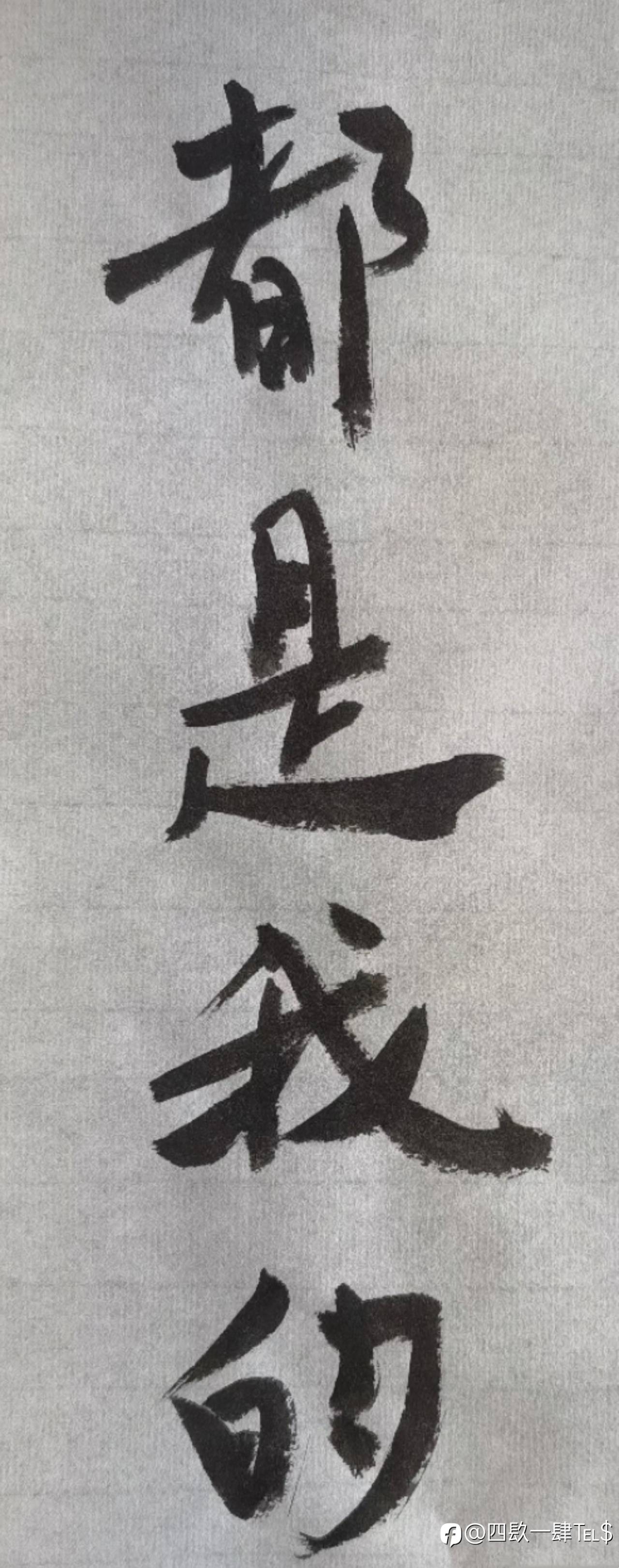 feed image