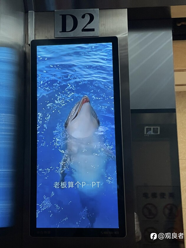 一只海豚引发的广告危机