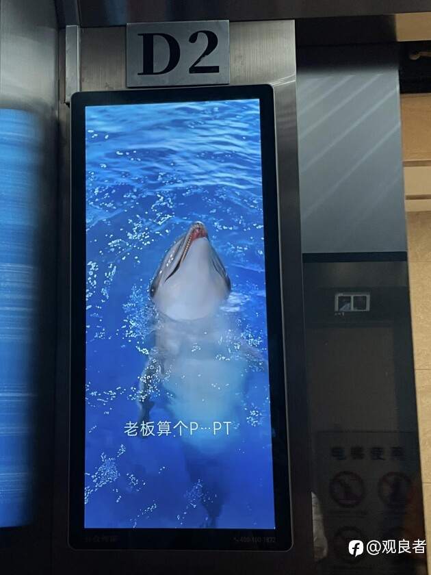 一只海豚引发的广告危机