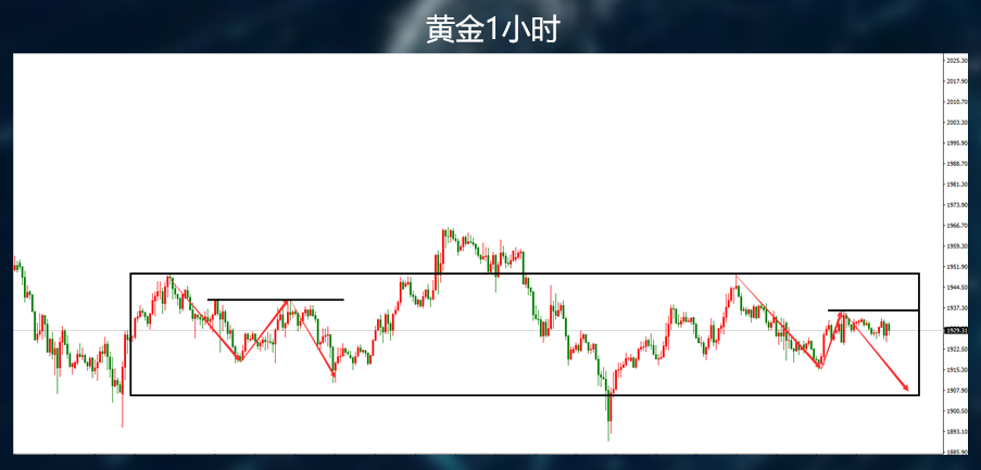 黄金这波动到底应该如何下手