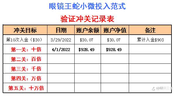 小微投入范式验证冲关记录表