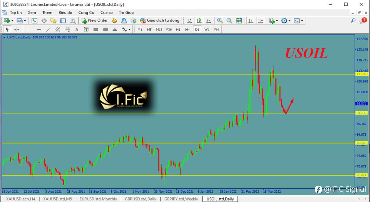 feed-image-1