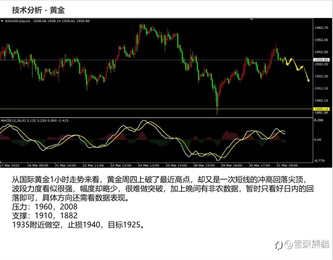 1/4拓利日报