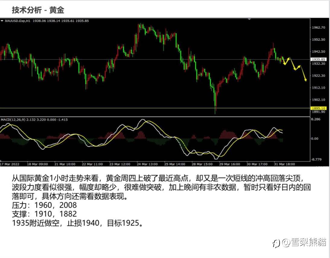 1/4拓利日报