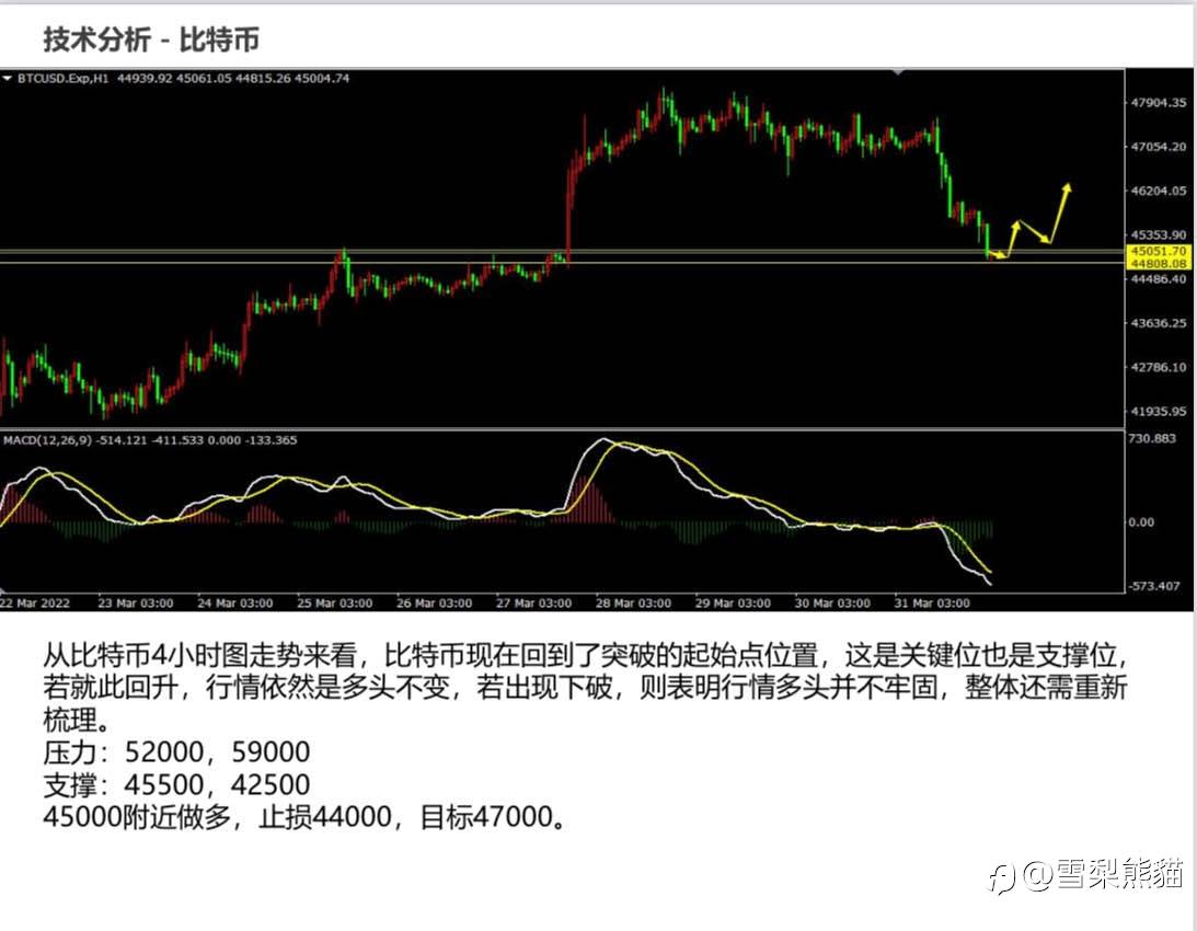 1/4拓利日报