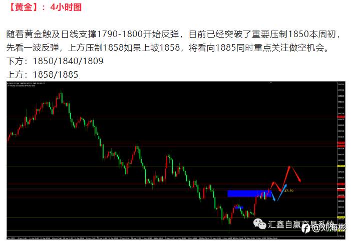 feed-image-2