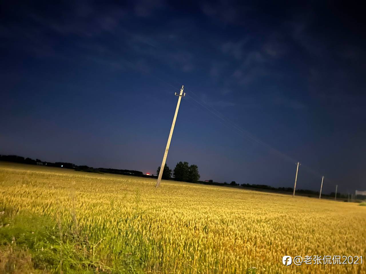 feed image