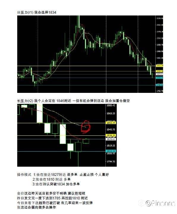 feed-image-3