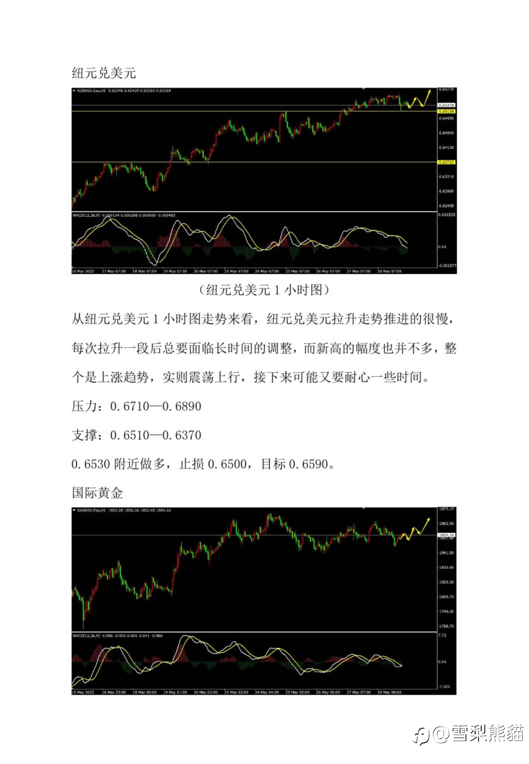 31/5拓利汇评