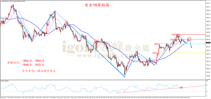 领峰金评:欧央行加息在即 金银冲高回落