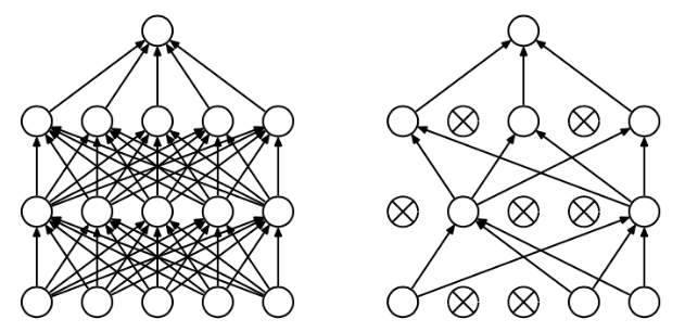 feed-image-1