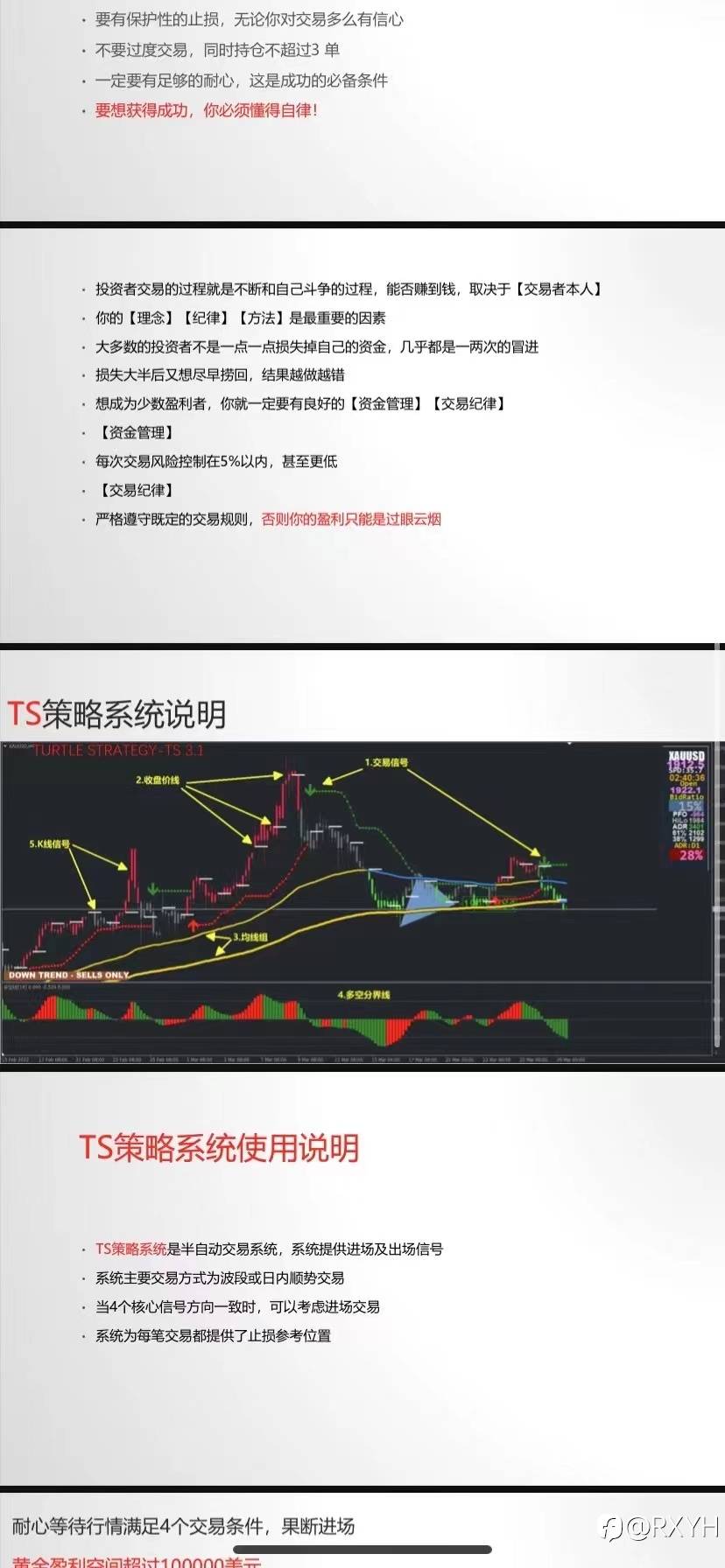 feed-image-1