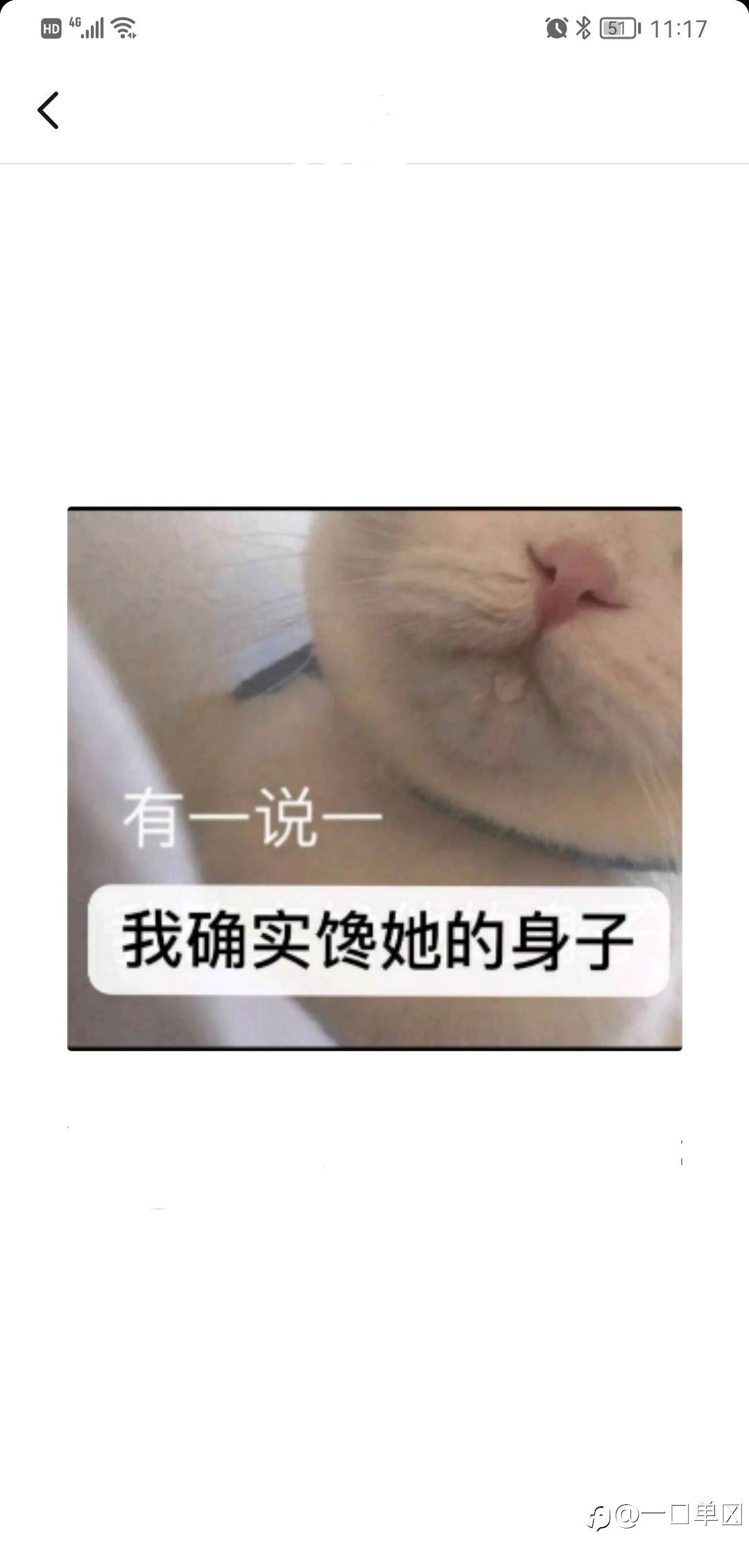 feed-image-0