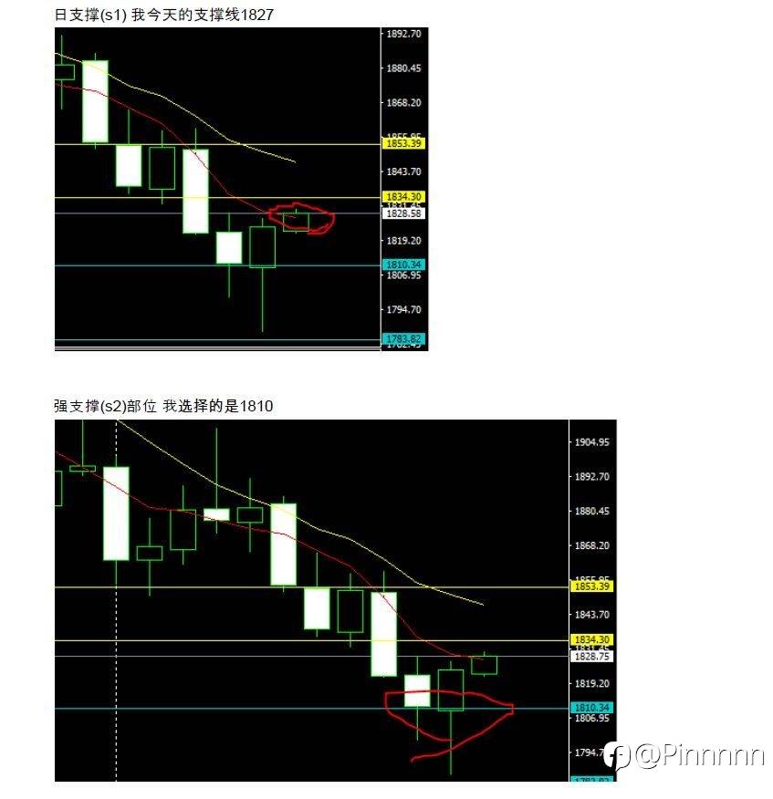 feed-image-2