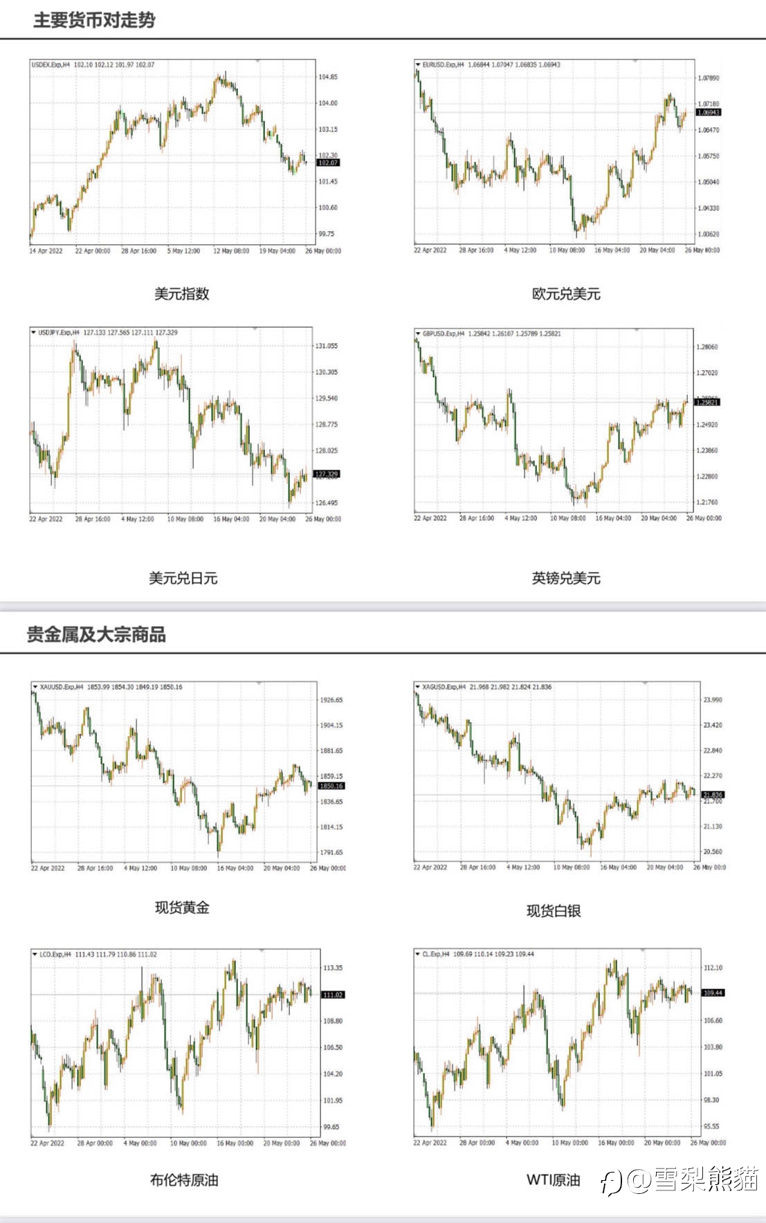26/5拓利日报